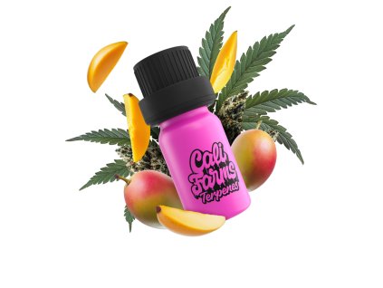 MANGO DREAM
