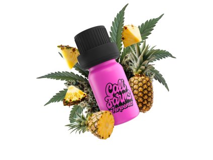 PINEAPPLE SKUSHIE