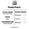 Purple Punch Terpeny