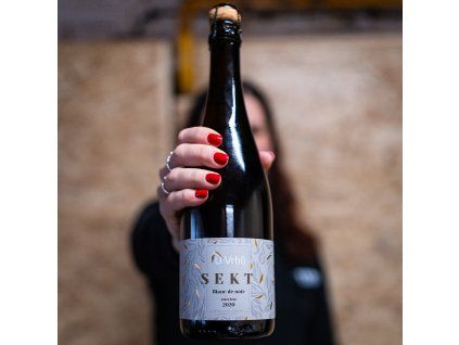 Sekt Blanc de Noir 2020 extra brut