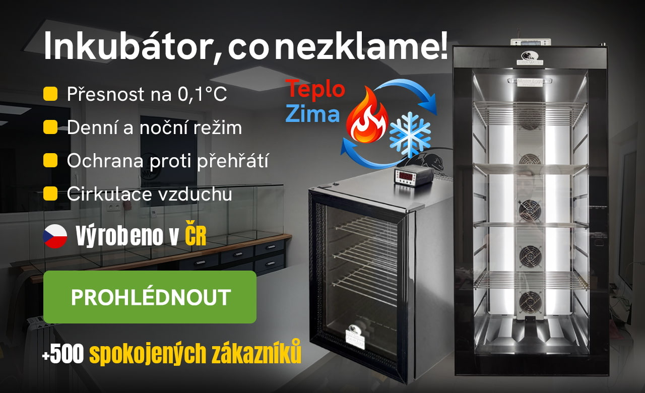 Inkubátor, co nezklame