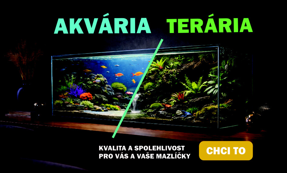 Akvária terária