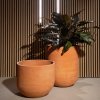 Vaso Rei Liscio Terracotta Impruneta2