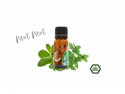 TERRA GAIA Organic essential oil Mint Mint web