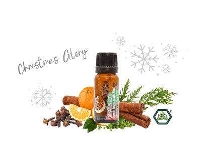 TERRA GAIA Organic Essential Oil Christmas Glory web