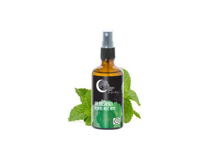 Air freshener Mint Mint 100 ml
