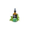 Air freshener Mint Mint 100 ml