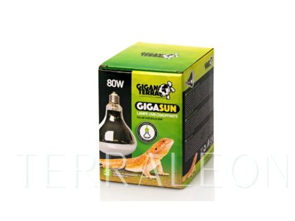 Snímek obrazovky 2026 02 02 111321