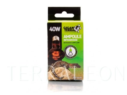 Snímek obrazovky 2026 02 02 111917