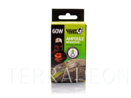 Snímek obrazovky 2026 02 02 112121