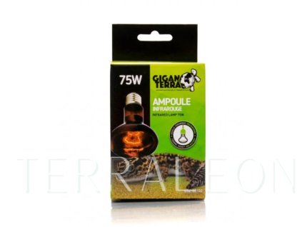 Snímek obrazovky 2026 02 02 112343