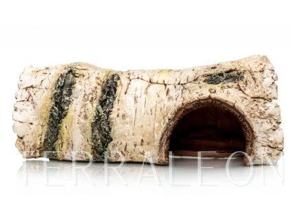 Snímek obrazovky 2026 02 02 154610