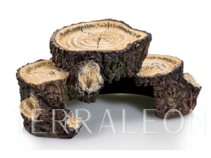 Snímek obrazovky 2026 02 02 160704