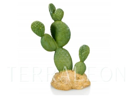 Snímek obrazovky 2026 02 02 164125