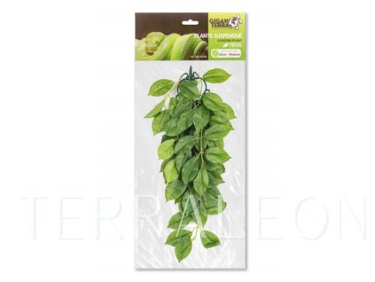 Snímek obrazovky 2026 02 02 164436