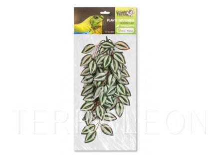 Snímek obrazovky 2026 02 02 164846