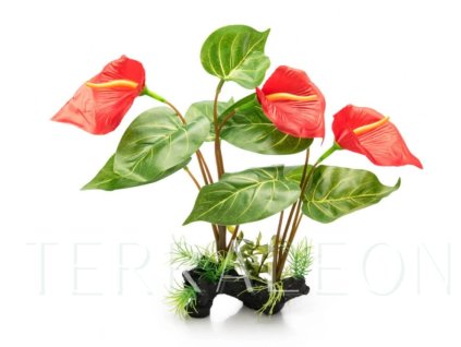 Snímek obrazovky 2026 02 02 165047