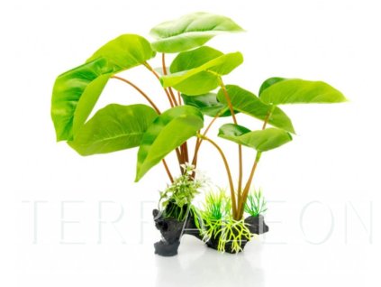 Snímek obrazovky 2026 02 02 165350