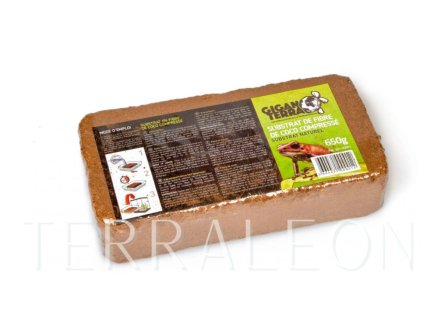 Snímek obrazovky 2026 02 02 165812