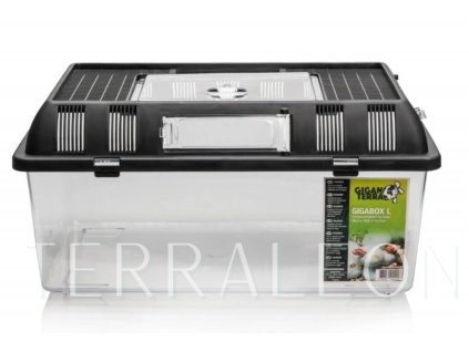 Snímek obrazovky 2026 02 02 170117