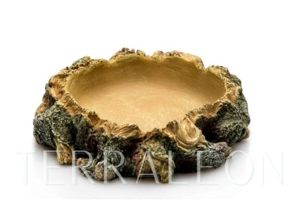 Snímek obrazovky 2026 02 02 171750