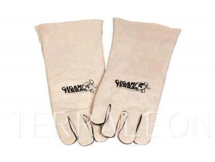 Snímek obrazovky 2026 02 02 173847