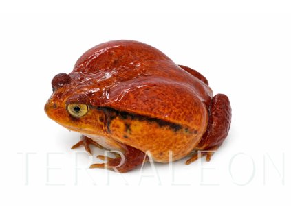 file 0000000000d472439104d1da9d578efc