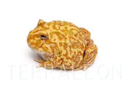 file 000000001ef8720a96e5211fc7c1e13a