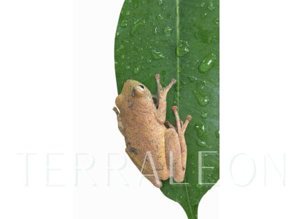 file 000000006d2c7243adefb1812ddf885a