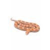 Užovka červená - Pantherophis guttatus amelano