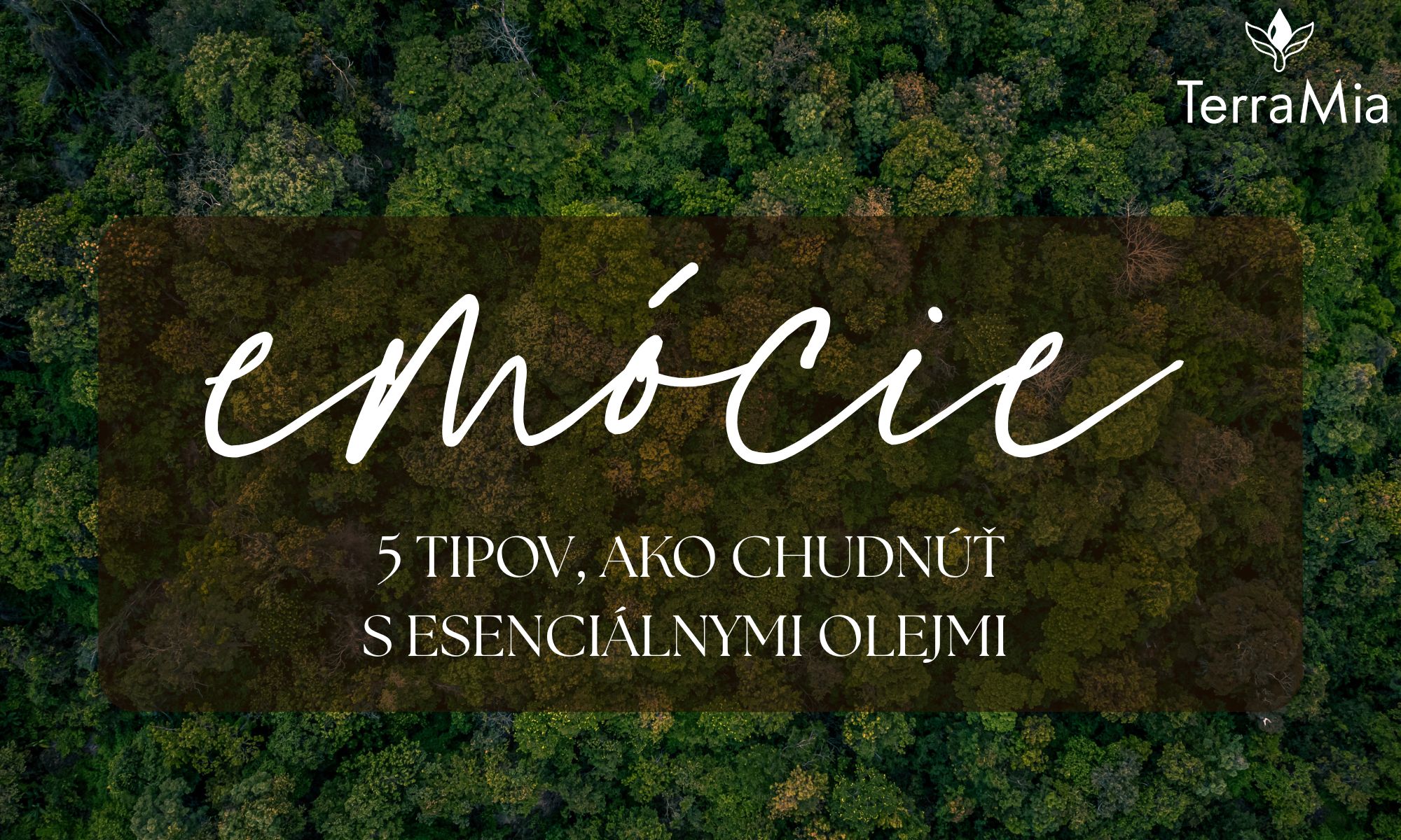 5 tipov, ako chudnúť s esenciálnymi olejmi – podpora cez emócie