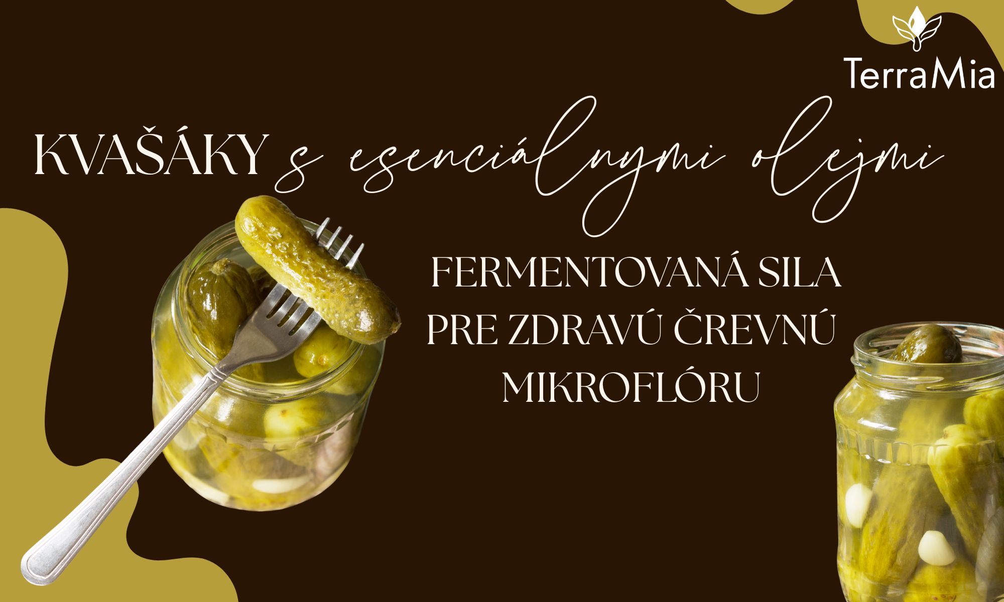 Kvašáky s esenciálnymi olejmi – fermentovaná sila pre zdravú črevnú mikroflóru