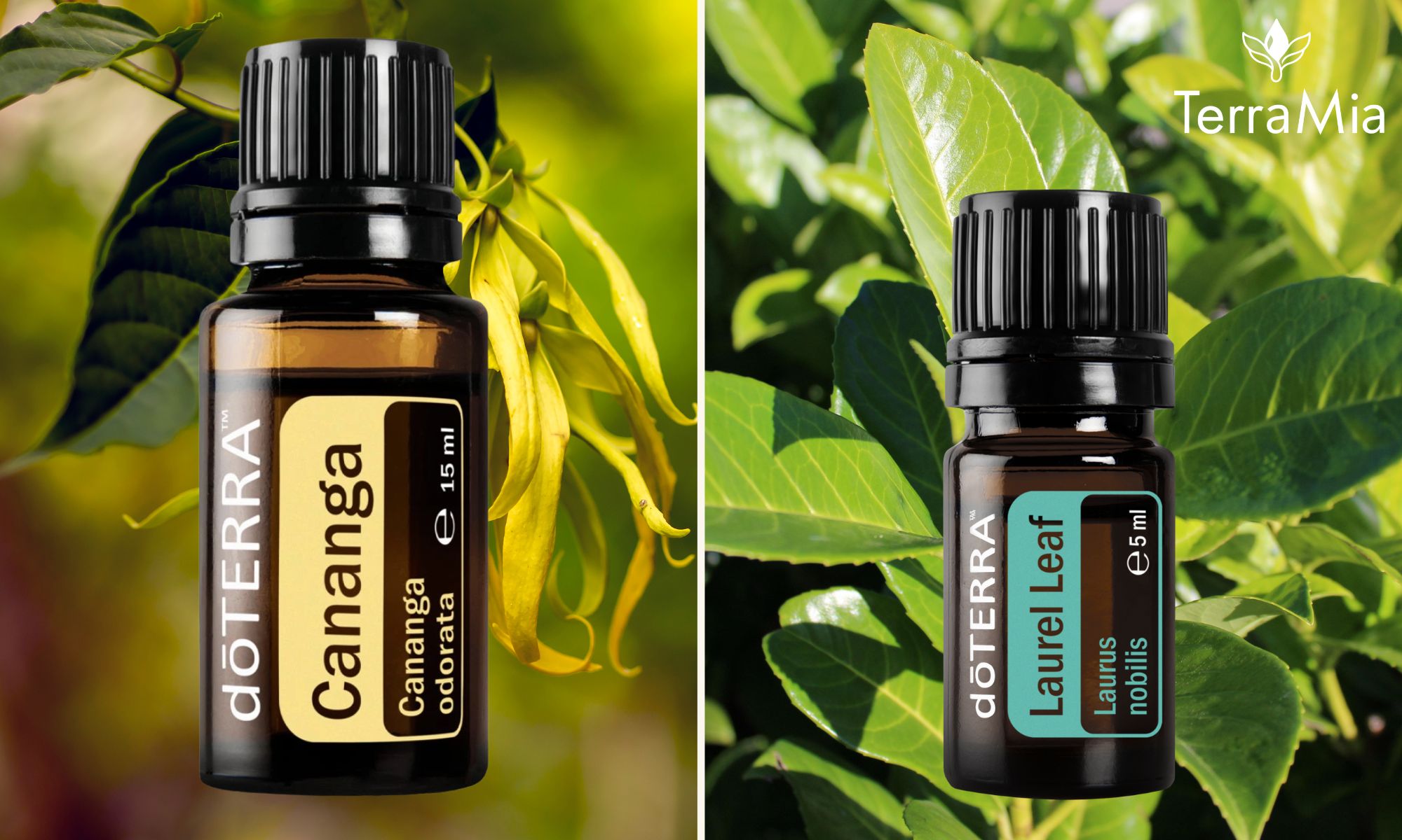 Cananga a Laurel Leaf: Esenciálne oleje na podporu radosti, sebavedomia a víťazstva