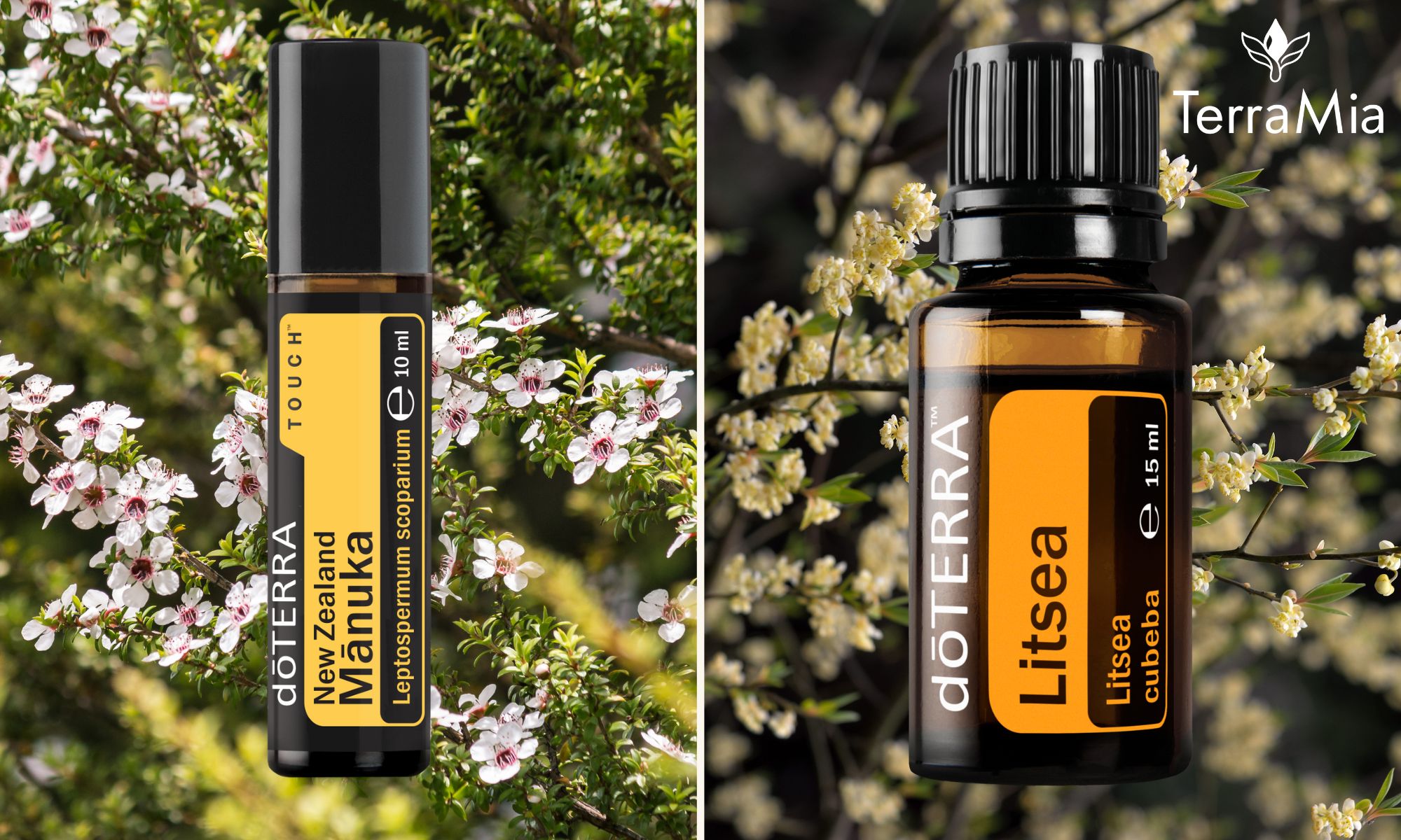 Litsea a Manuka touch - oleje z vôňou Austrálie