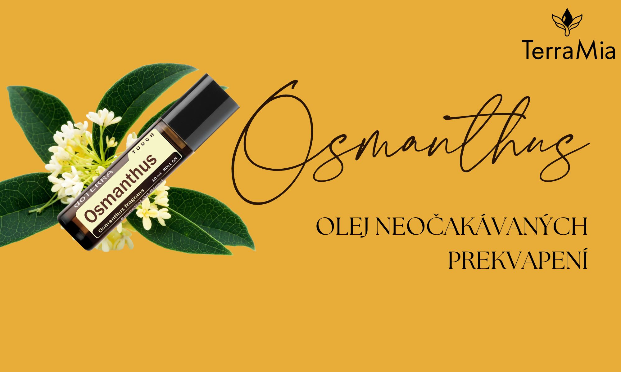 🌸 Osmanthus Touch – esenciálny olej nových začiatkov