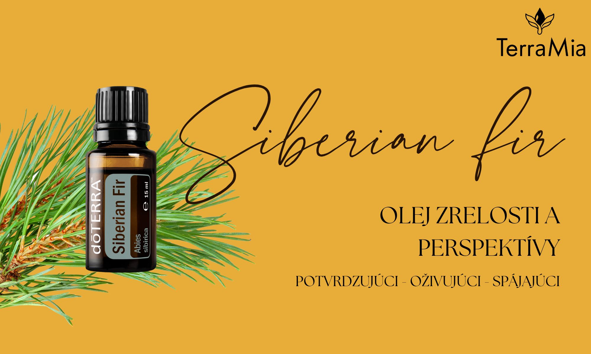 🌲 Siberian Fir esenciálny olej doTERRA – olej zrelosti a perspektívy
