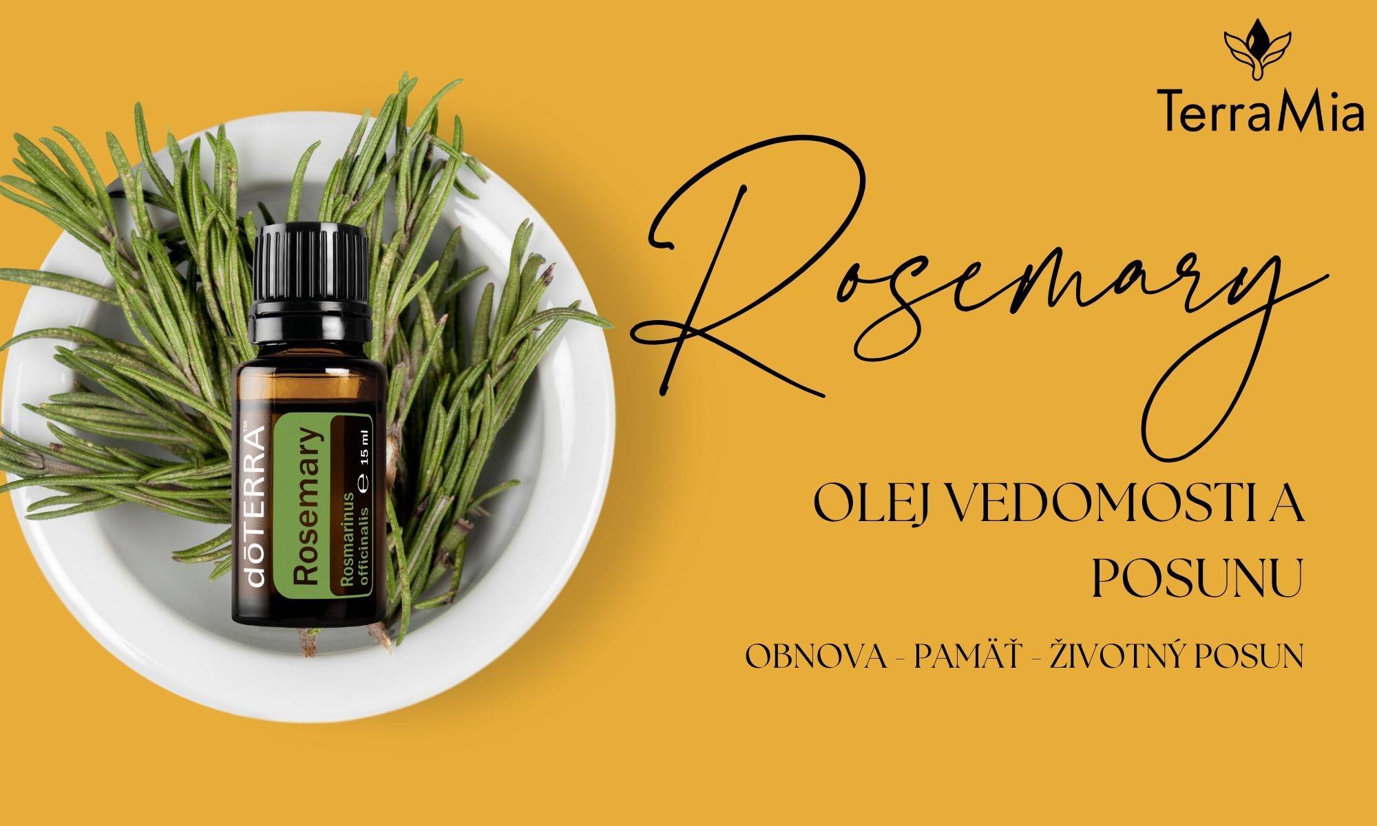 Rosemary – esenciálny olej vedomosti a životného posunu 🌿🧠✨