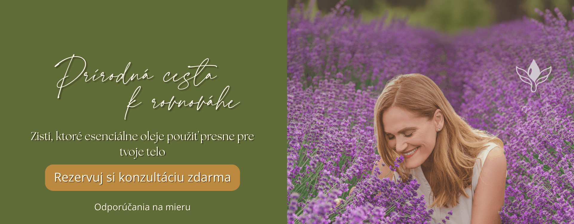 carousel_novy