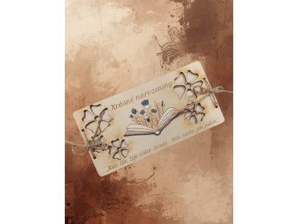 obalka na peníze na web