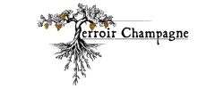 Terroir Champagne