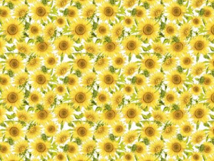 Žluté - slunečnice