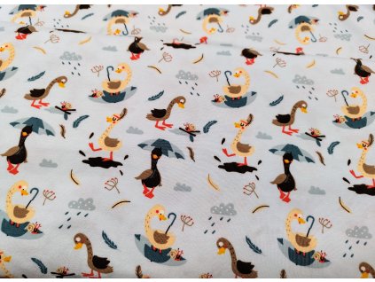 Úplet - vtipná husa