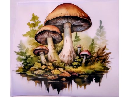 Barevná nažehlovačka - houby