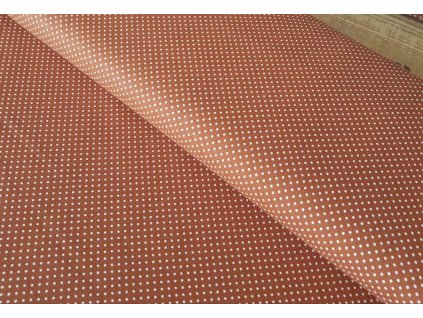 Skořicové - puntíček