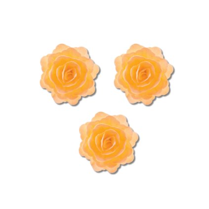 Krásný jedlý květ - 15 ks - Pivoňka, žlutá 5,5 cm