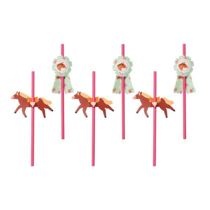 0026137 party brcka konici 6 ks 600