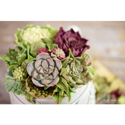 197192 silikonova forma na sukulenty fl06219 karen davies