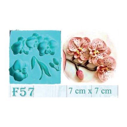 20d9565626344736adffee8d70726da0