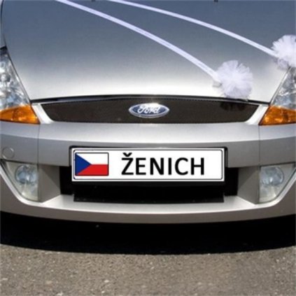 0004061 svatebni spz zenich 600
