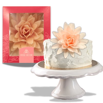 Velký jedlý květ - Pivoňka, pudrová 12,5 cm